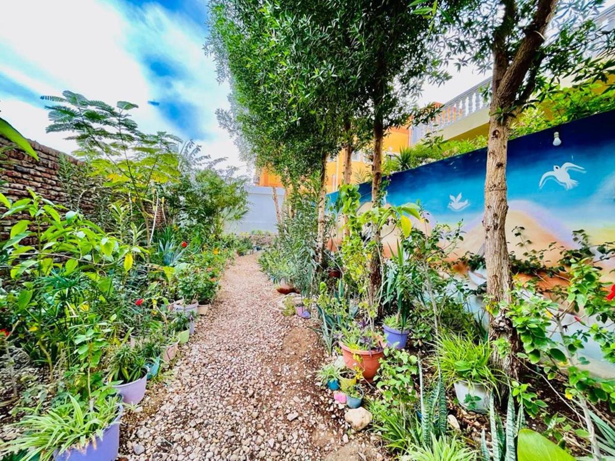 Luxor Nile View Flats 아파트 외부 사진