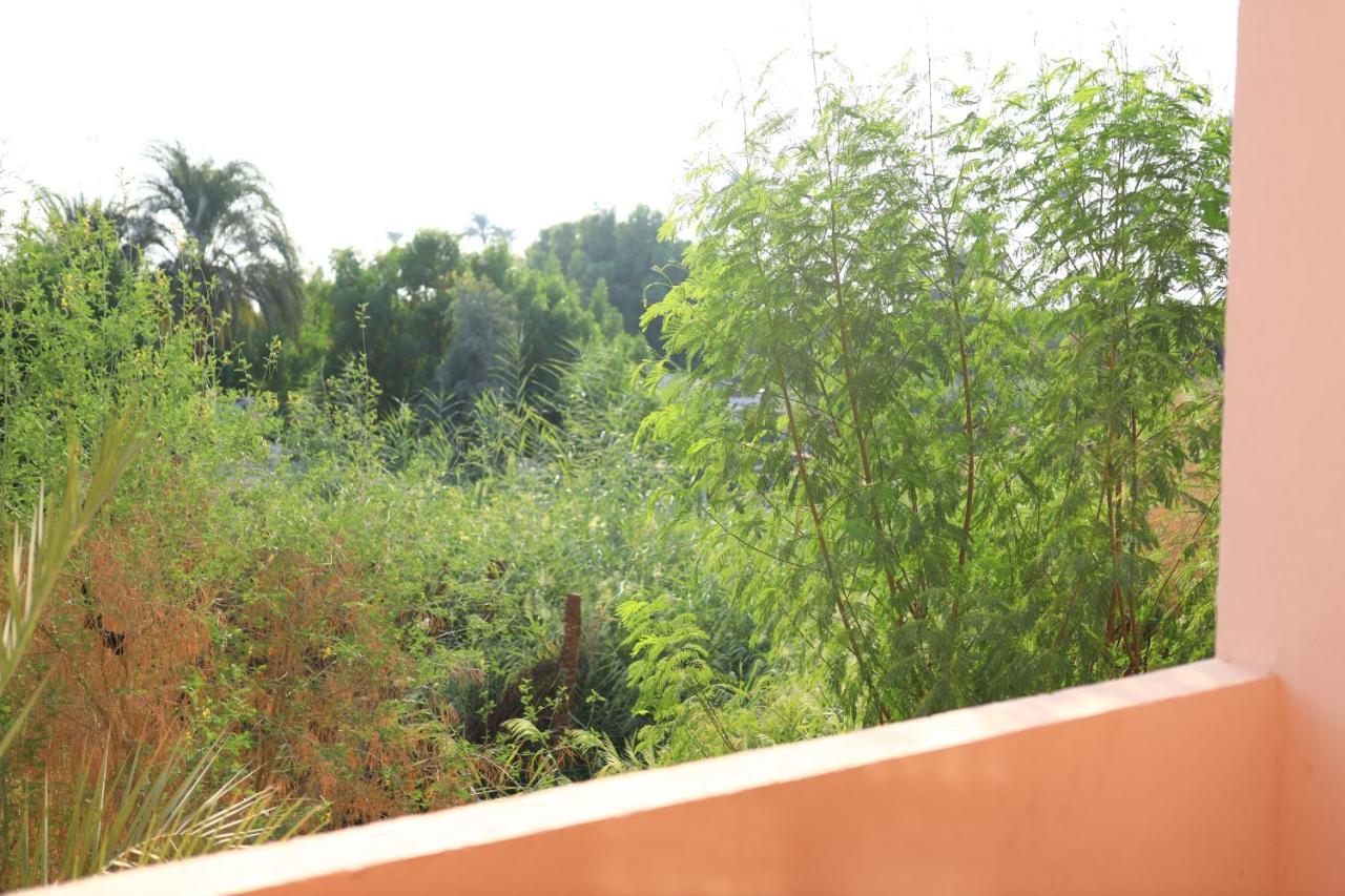 Luxor Nile View Flats 아파트 외부 사진